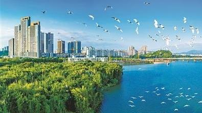 广州市绿化条例