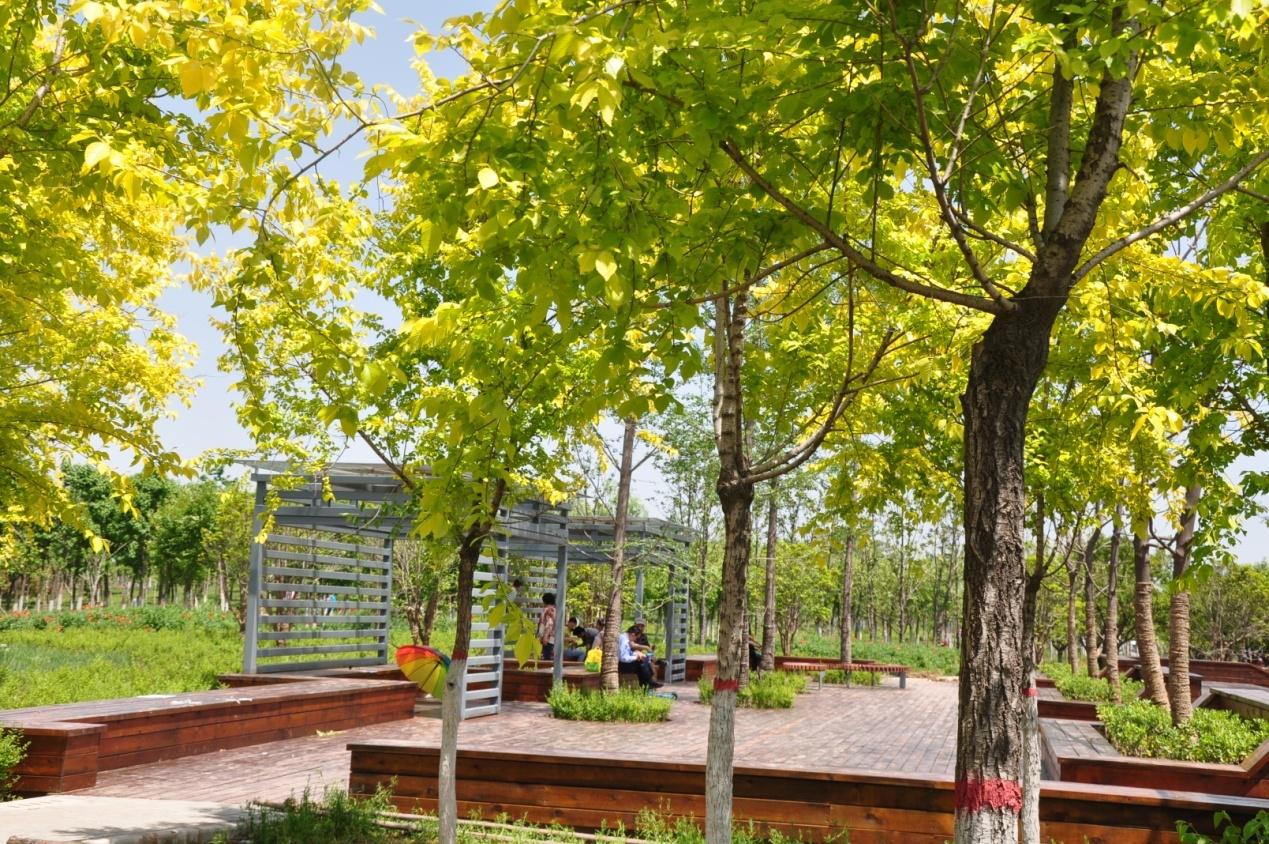 都市园林绿化工程十篇
